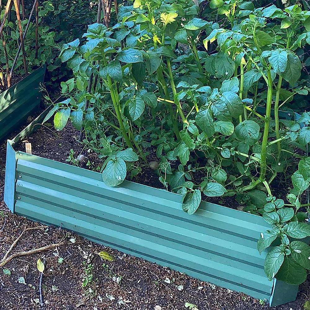 Metal Raised Garden Bed: 2 beds: image 5