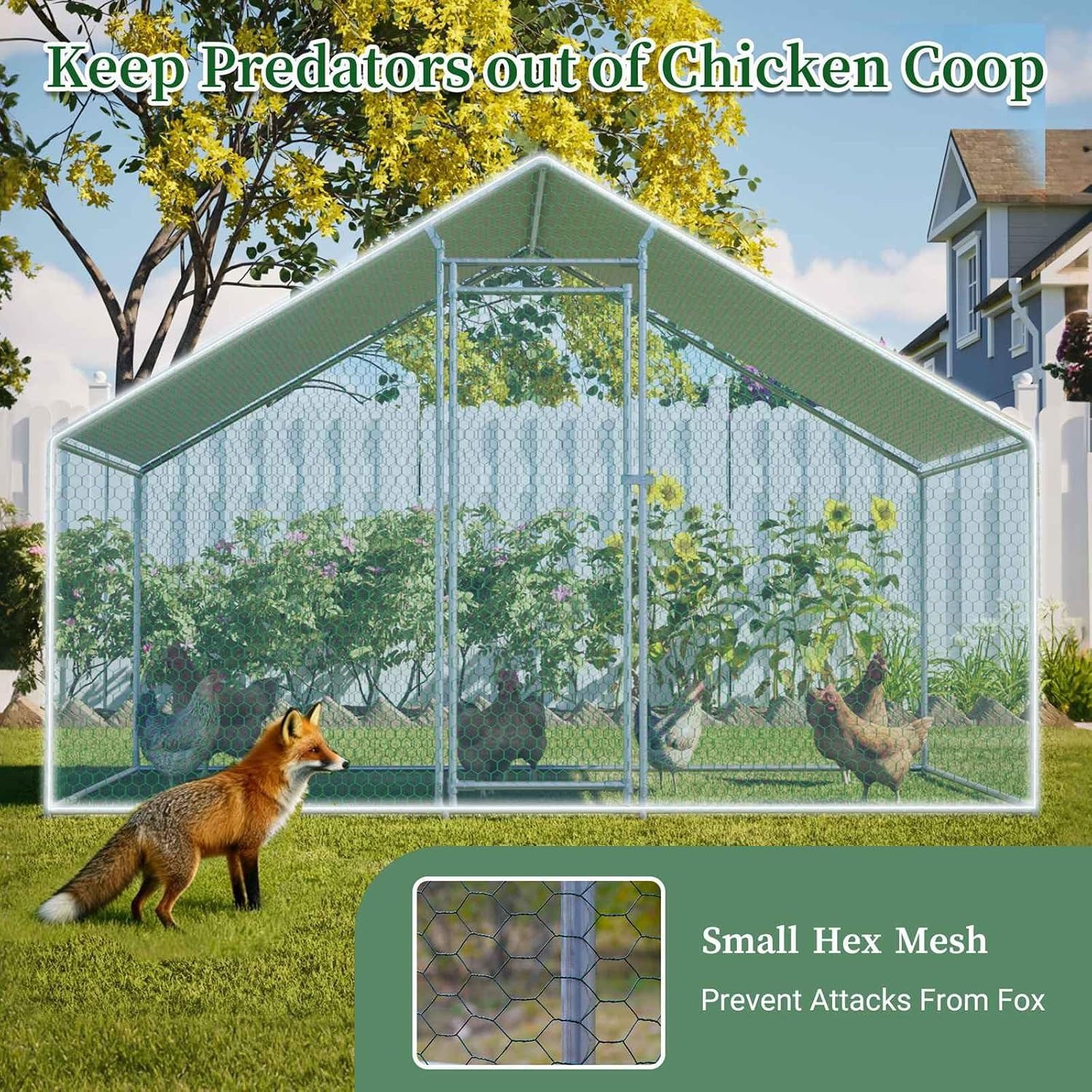 Chicken Cage: 3m (W) x 4m (L) x 2m (H): image 6