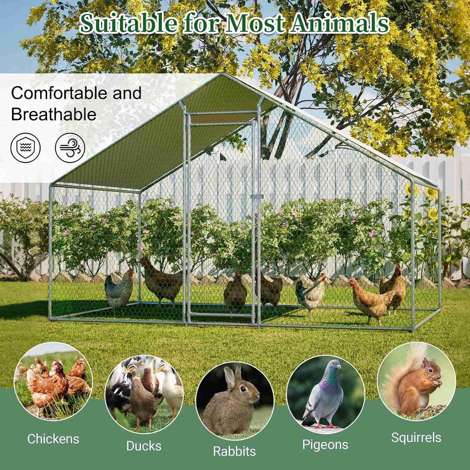 Chicken Cage: 3m (W) x 4m (L) x 2m (H): image 5