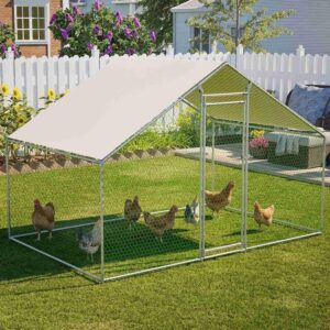 best-chicken-cage